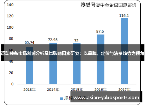 运动装备市场利润分析及其影响因素研究：以品牌、定价与消费趋势为视角